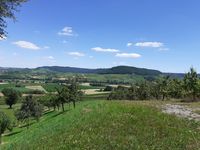 Blick ins Steinbacher Tal